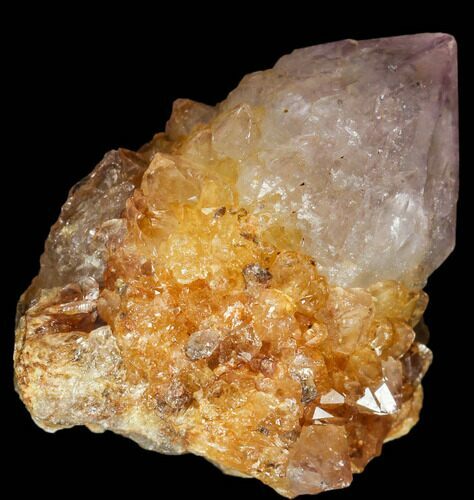 Sunshine Cactus Quartz Crystal - South Africa #115131